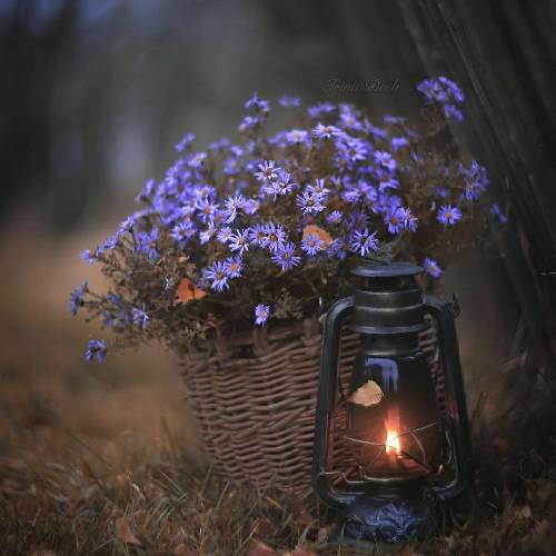 محمود سهیلی یه صدای قدیمی ام که تو گلو مونده